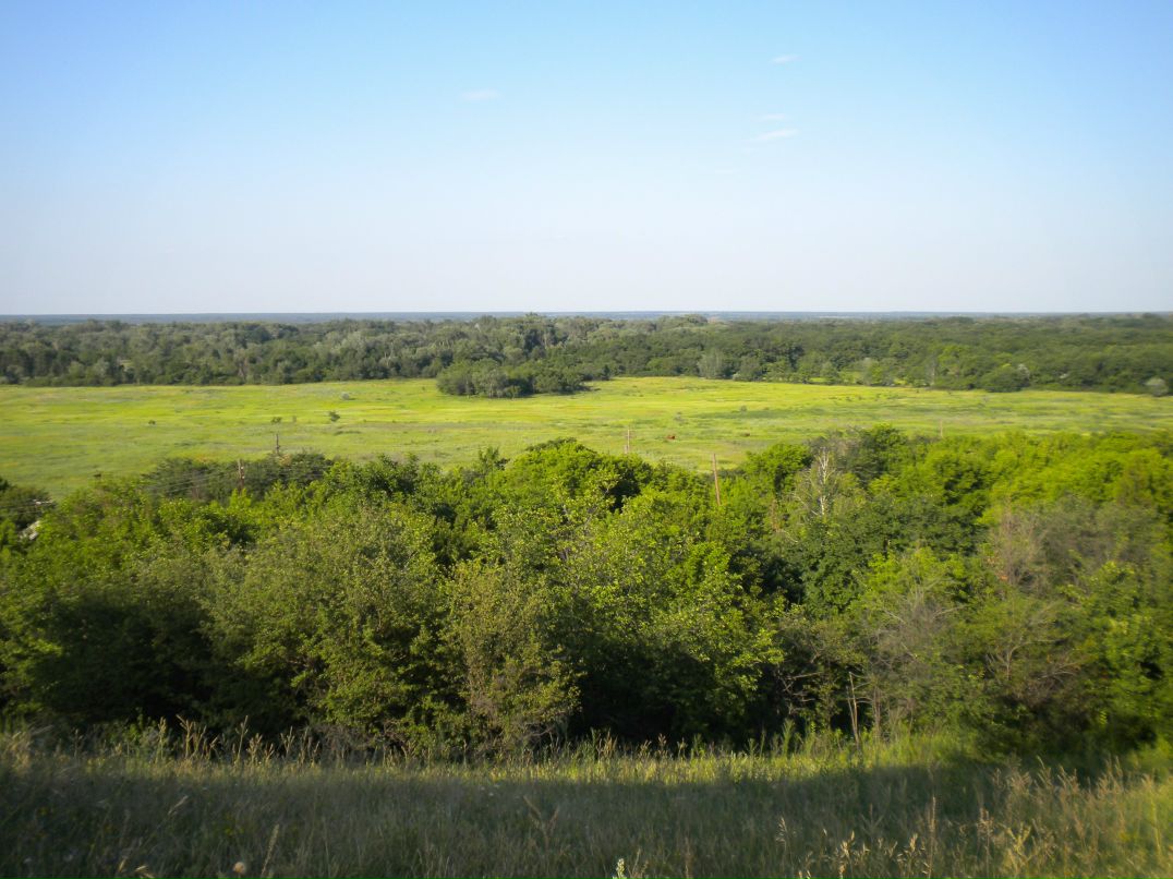 Маргарита Гришина | Луганск