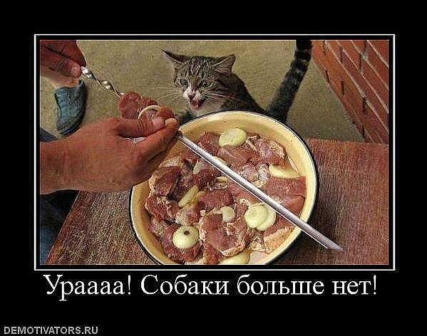 Марина Миль *я не странная,я навороченная* | Калининград