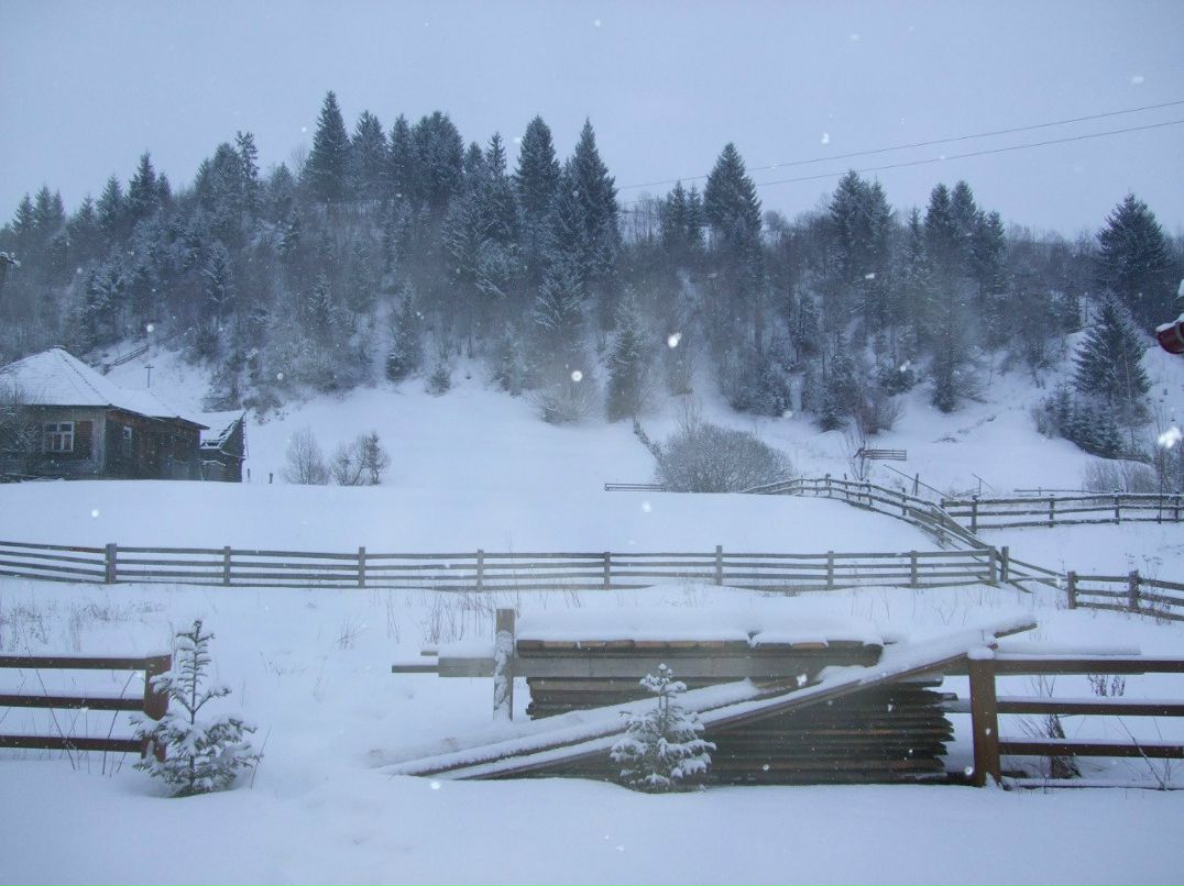 Sashok Andrienko BAT-MAN | Киев