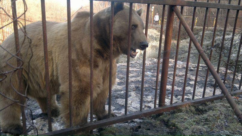 Миха Мулько | Славянск-на-Кубани