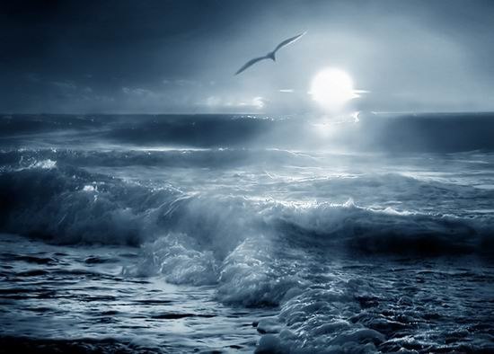 Максим Корсуненко | 