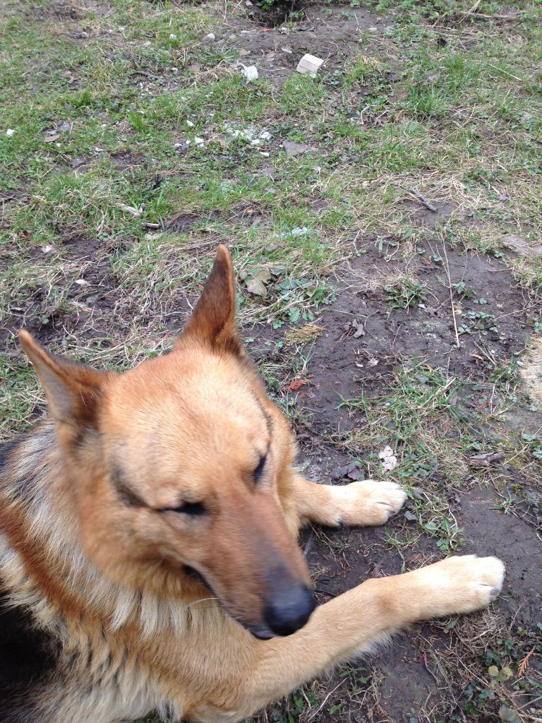 Стас Лопатинский | Иерусалим