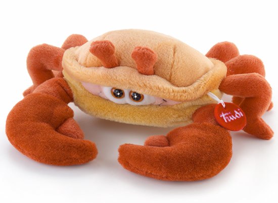 Андрей Рожков | Санкт-Петербург