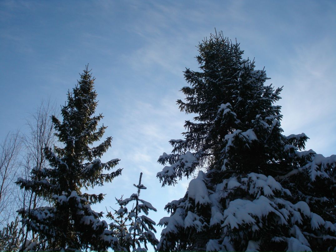 Алексей Демидов | Великие Луки