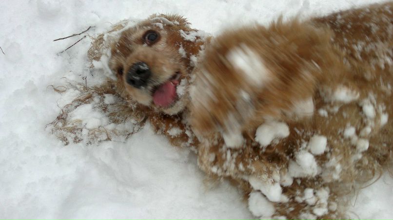 Геннадий Игонин | Херсон