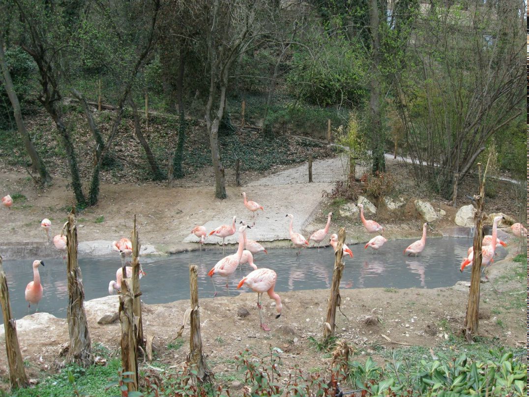 Алёна Чертушкина | Darfo Boario Terme