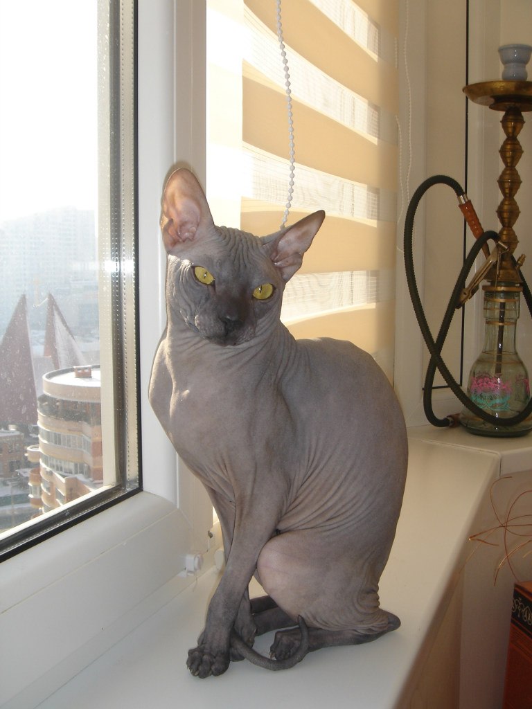 Таня Зинченко | Киев