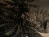 Таня Сухина | Одесса