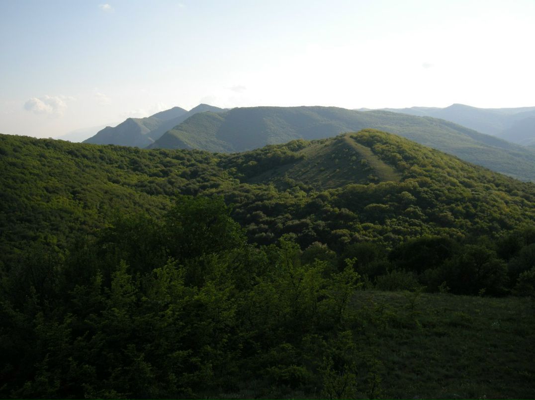 Саша Воронков | Мелитополь