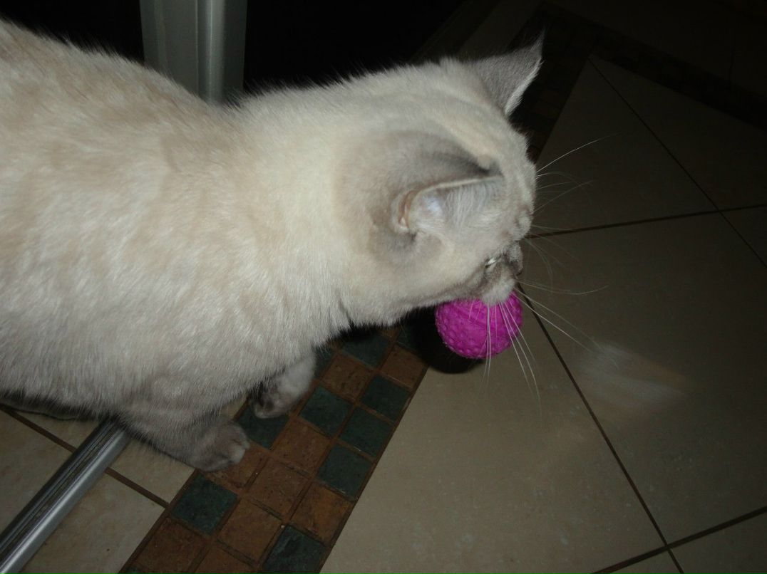 Татьяна Шилович | Минск