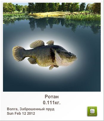 Лина Никифорова | Челябинск