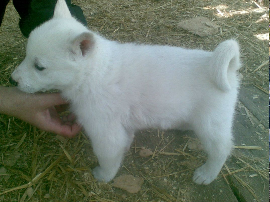 Юрий Придачин | Белгород