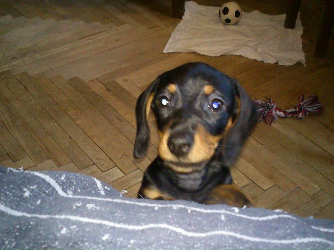 Ольга Синькова | Санкт-Петербург