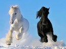 Фотография Вдовина Андрея