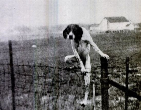 Антон Нурмухаметов | Москва