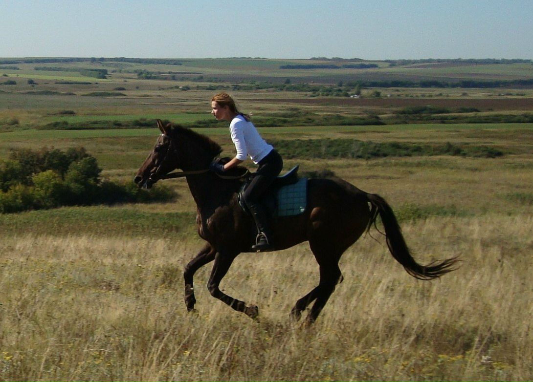 Татьяна Чижевская | Ростов-на-Дону