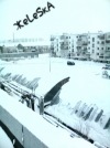 ...JeLezka...(Железка)