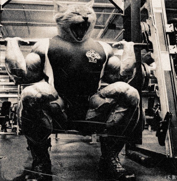 Женя Тимофеева | Калининград