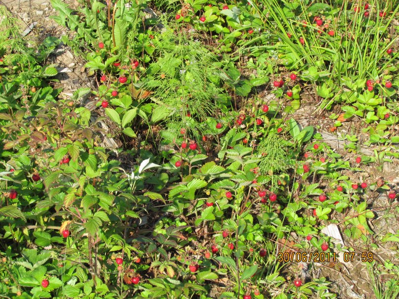 Ольга Маркелова | Санкт-Петербург