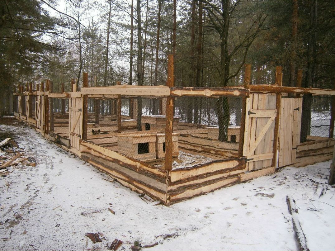 Олександр Брижко | Киев