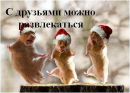 №6 Татьяна Кононова 06.01.1991: профиль, фото, статус - ВКонтакте