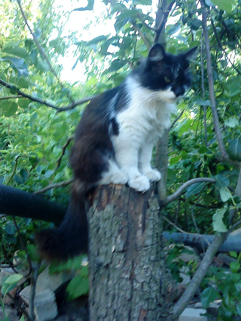 Елена Копина | Днепр (Днепропетровск)