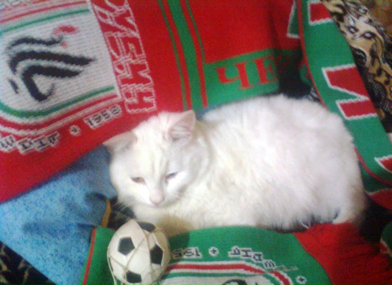 Дина Бикмуллина | 