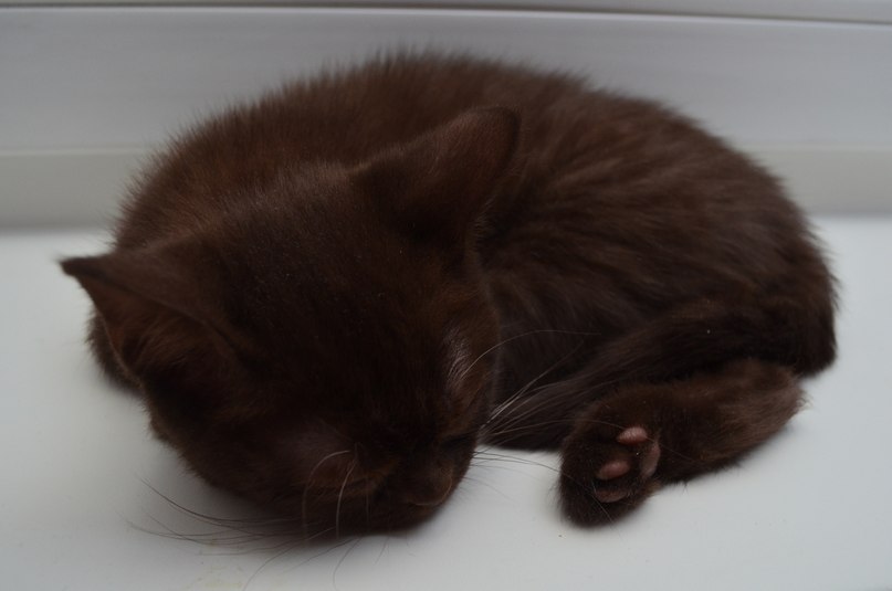 Наталья Сидорова | Санкт-Петербург