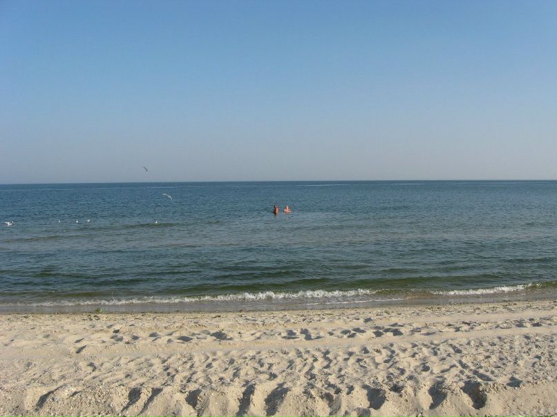 Артурчик Гончаренко | Киев