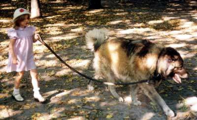 Вероника Высоцкая | Киев