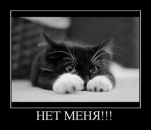 Ирина Берлинова | Волгоград