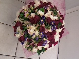 Полина Козлова | Санкт-Петербург