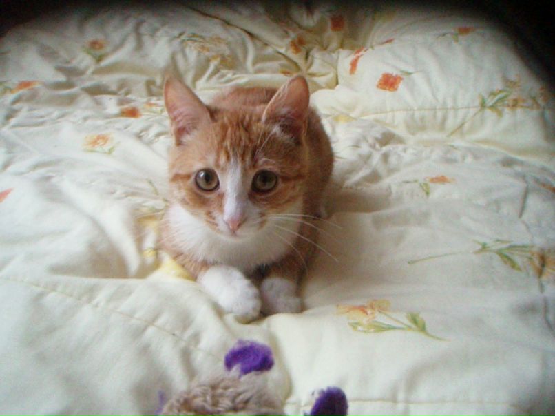 Елена Леонова | Москва