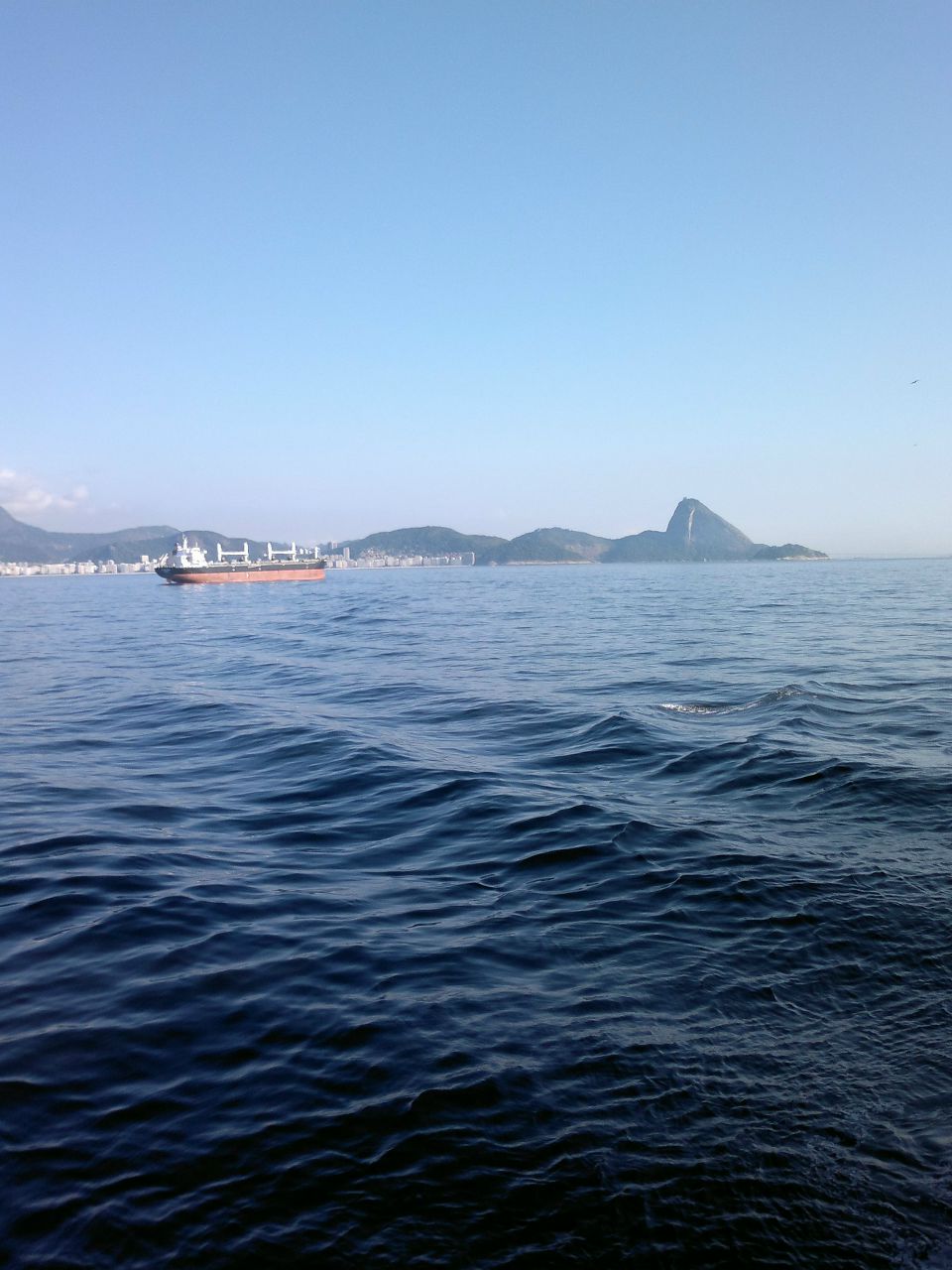 Максим Лисин dp | Одесса