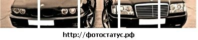 Фотография Даниил ____________