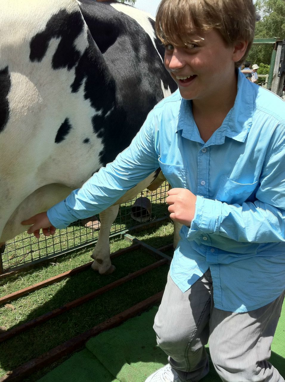 Тёма Роман | İstanbul