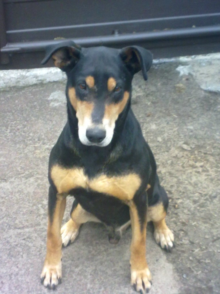 Алексей Доля Евгениевич | Чернигов