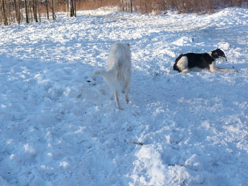 Сабина Утамурадова | 