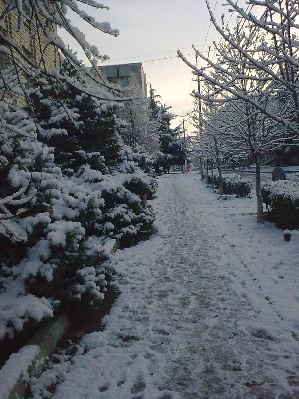 Ольга Новикова | Москва