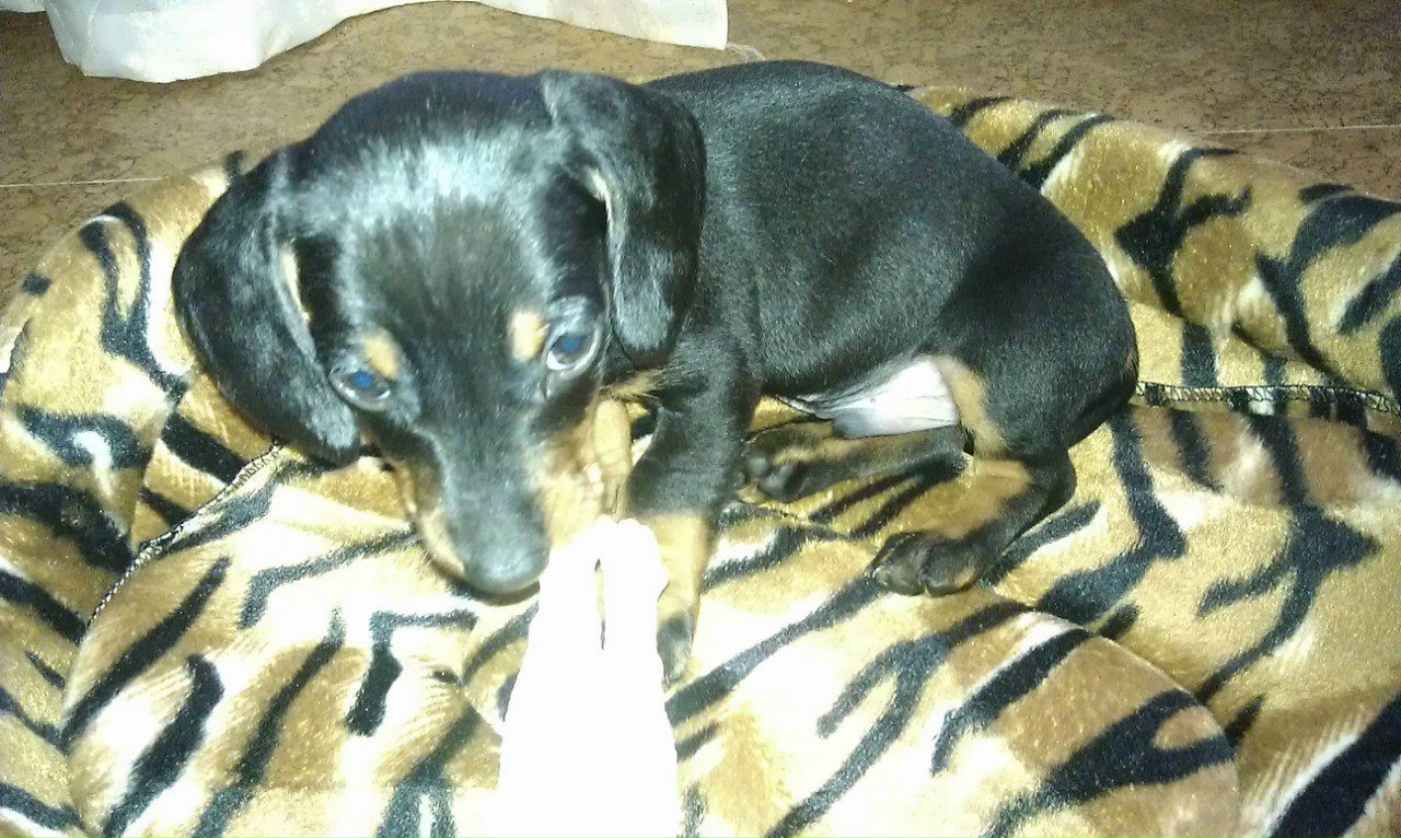 Лена Малявская | Николаев