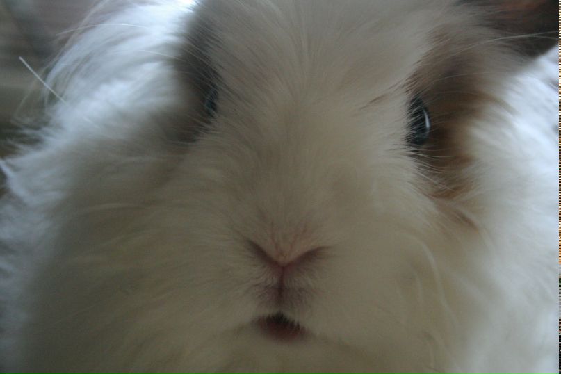 Антон Козлов | Москва