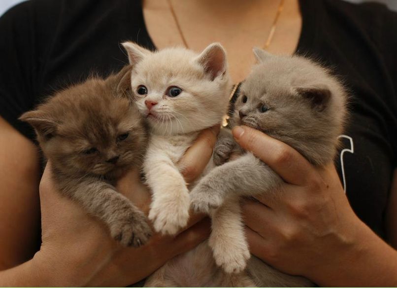 Оксана Морозова | Санкт-Петербург