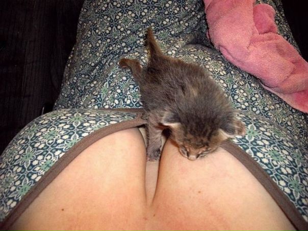 №41, Иван Быков, 45 лет, Донецк №41, Иван Быков, 45 лет, Донецк