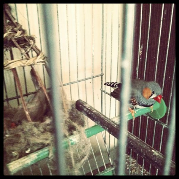 №33, Антон Борзов, 45 лет, Днепр (Днепропетровск) №33, Антон Борзов, 45 лет, Днепр (Днепропетровск)