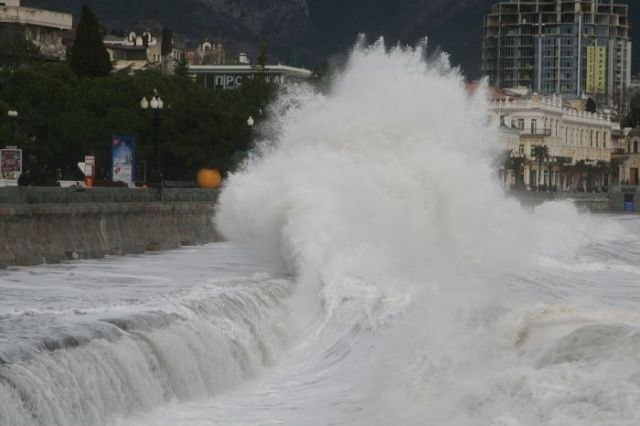 Анна Жилкина | 