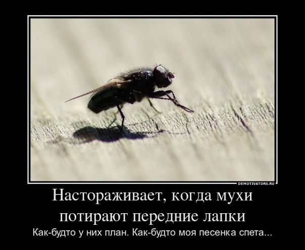 №1, Ярослав Бучковский, 109 лет, Киев №1, Ярослав Бучковский, 109 лет, Киев