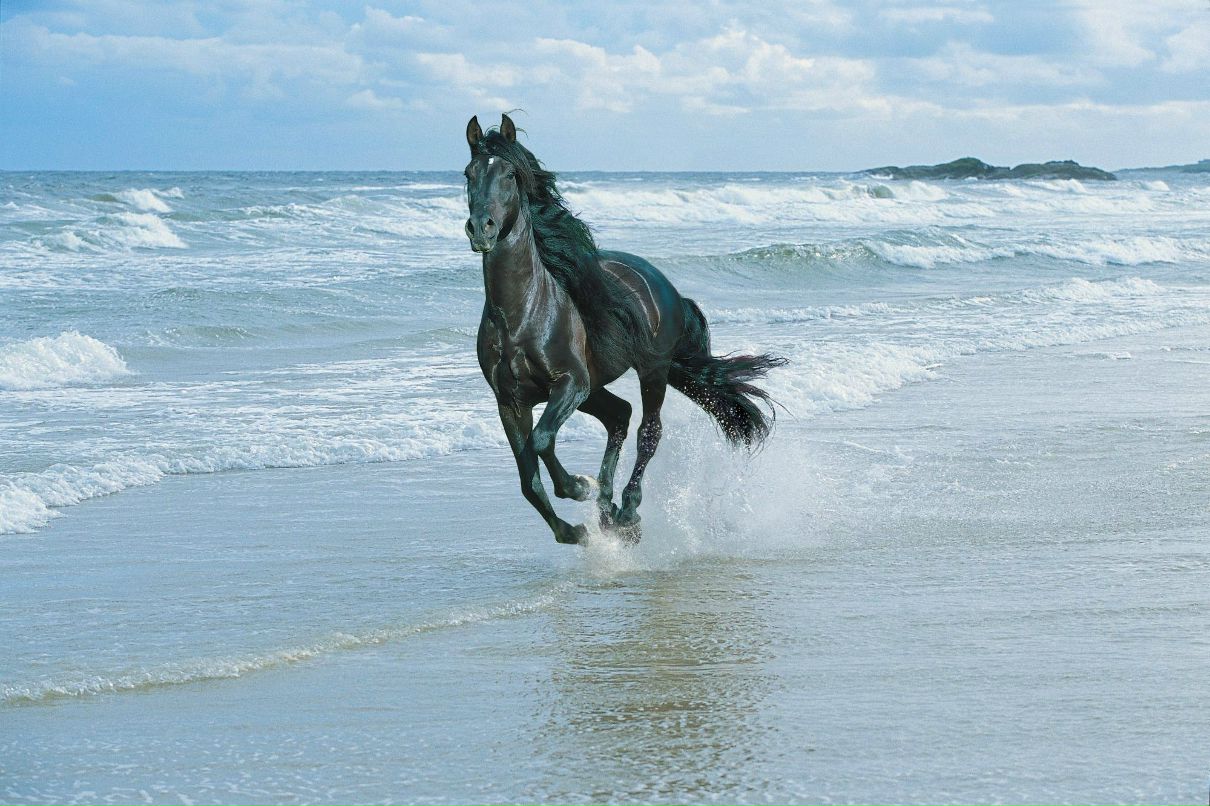 Артем Олейниченко | Минск