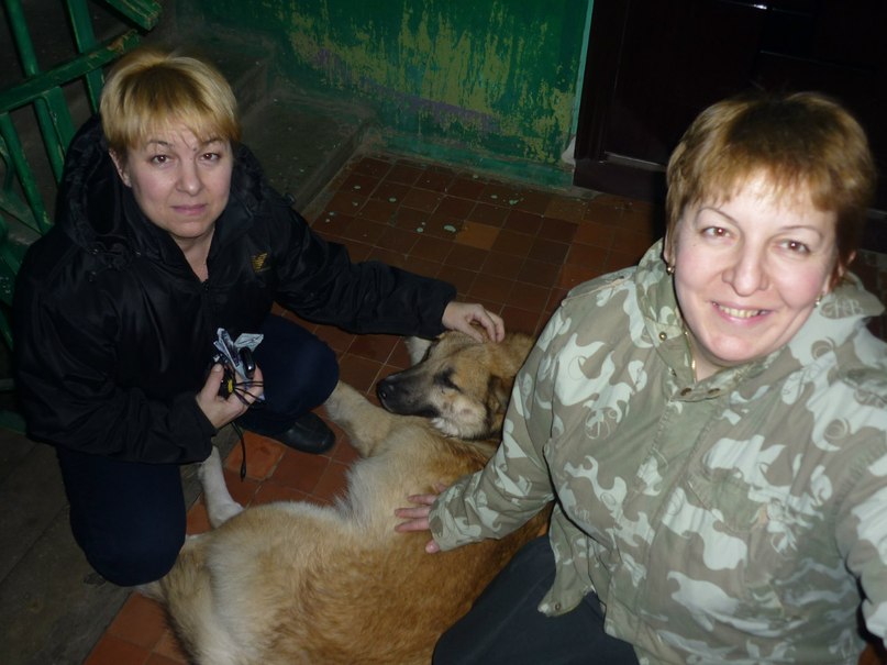 Лилия Ахметшина | Казань