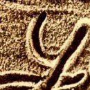 №80, Ваня Ольшанский №80, Ваня Ольшанский