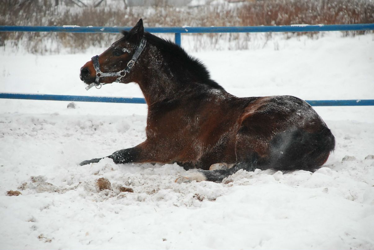 Светлана Кирякова | Москва